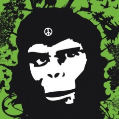 Юлий Пономарев, 16.01, Кабардинская