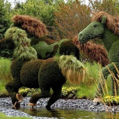 Жийде Маматбаева