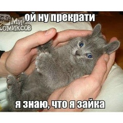 Елисей Жирнов, 01.06, Ижевск