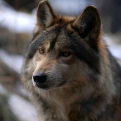 Максат Усеров, 01.06.1991, Алматы