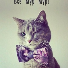 Анна Александрова, 28.02, Санкт-Петербург