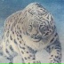 Руслан Мусуков, 24.01.1984, Нальчик