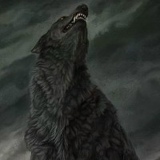 Сергей Феникс, 21.05, Антрацит