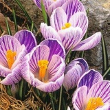 Мария Илюшина, 27.03, Киев