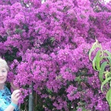 Света Неёлова, 20.08.1965, Espoo