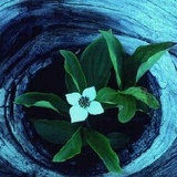 Александра Петрова, 07.03, Саратов