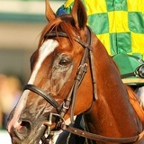 Максим Матвеев, 01.05.1988, Москва