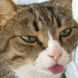 Александр Колотухин, 23.02, Санкт-Петербург