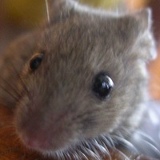 Максим Щукин, 06.03, Москва