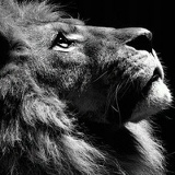 Расул Нохчиев, 04.08, Грозный (поселок)