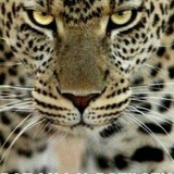 Дмитрий Падалко, 16.06.1978, Сумы