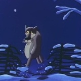 Тамерлан Гагаев, 24.06, Грозный