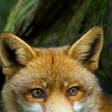 Ируся Островершко, 18.04, Киев