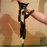 Татьяна Савенкова, 29.05.1981, Одинцово