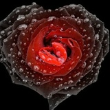 Сергей Немальцин, 13.05.1985, Москва