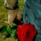 Sh Raja, 14.11, Rawalpindi