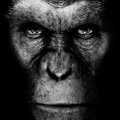 Orik Mo, 16.02, Алматы