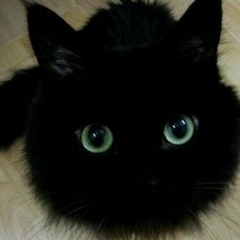 Максим Герасимов, 07.05.1978, Тамбов