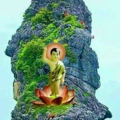 Ashin Kumara, 11.07.1983