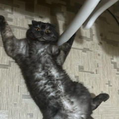 Anastasia Batyrgaliyeva, 05.04, Уральск