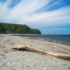 Фильми Все, 24.05.1975, Ровно