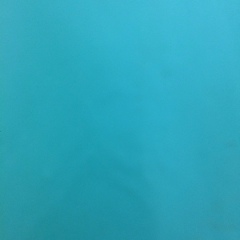 Александр Александр, Севастополь