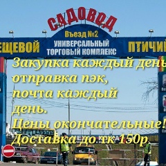 Оксана Дрозд, Люберцы
