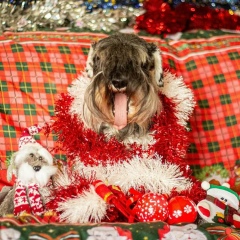 Stanislava Vigdergauz, 28.03, Санкт-Петербург