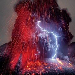 Виталий Тариков, 19.04.1984, Санкт-Петербург