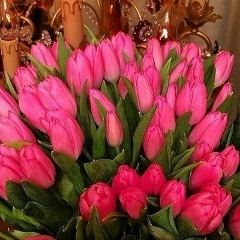 Бакытжан Клышева, 04.08.2006, Алматы