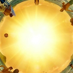 Arman Akimzhanov, 18.01.1987, Алматы