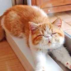 Аня Веретенникова, 22.11, Санкт-Петербург