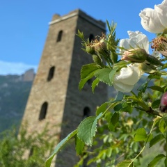 Зелимхан Зелимханов, 05.03, Грозный