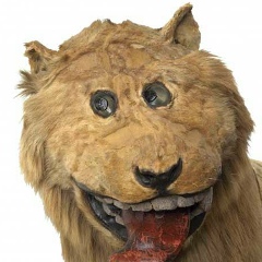 Иван Дмитриев, 19.08, Санкт-Петербург