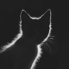 Алексей Парамонов, 31.05.1972, Wuhan