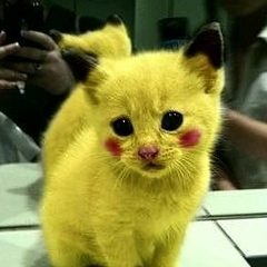 Лерочка Кондратюк, Каскелен