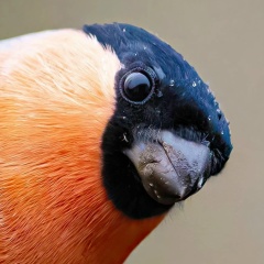 Юлия Усатова, 05.08, Киров