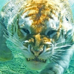 Иван Копылов