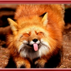 Марьяна Сергеевна, Москва