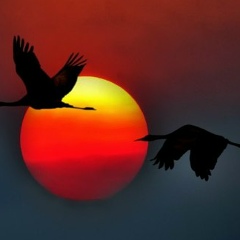 Константин Мищенко, 29.10, Москва