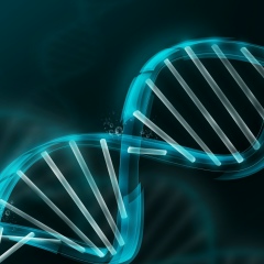 Евгений Куж, 14.12, Saulkrasti