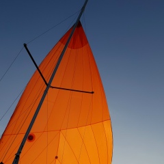 Владимир Барышевский, 06.01.1983, Минск