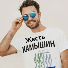 Станислав Микульский, Камышин