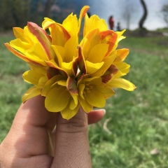 Жамболова Айнур, 07.12, Алматы