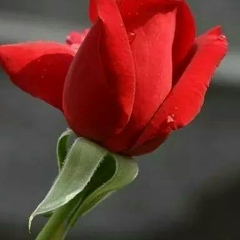 Айгуль Аташева, 15.10.1990, Актау