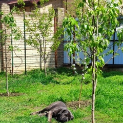 Жанна Ожева, 29.08.1982, Краснодар