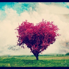 Nurgul Alzhankulova, 16.06.1990, Алматы