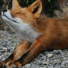 Владимир Владимирович, 05.02.1901, Санкт-Петербург