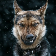 Андрей Тимошенко, 19.10.1989, Киев