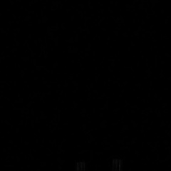 Ольга Гаврилова, Санкт-Петербург